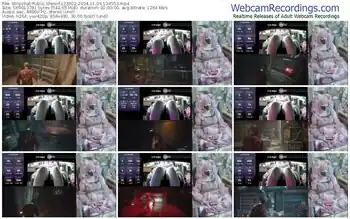 stripchat-z23002-11-04-2024-13-45-53