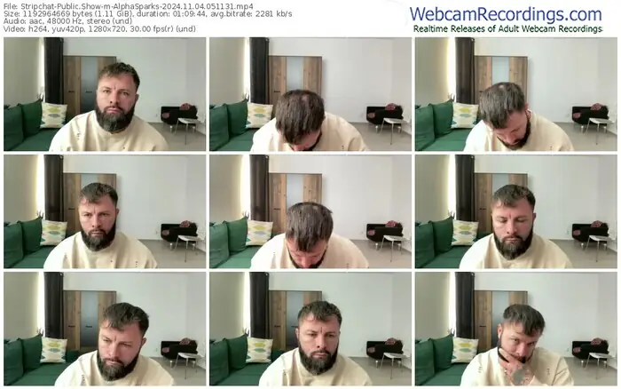 stripchat-alphasparks-11-04-2024-05-11-31