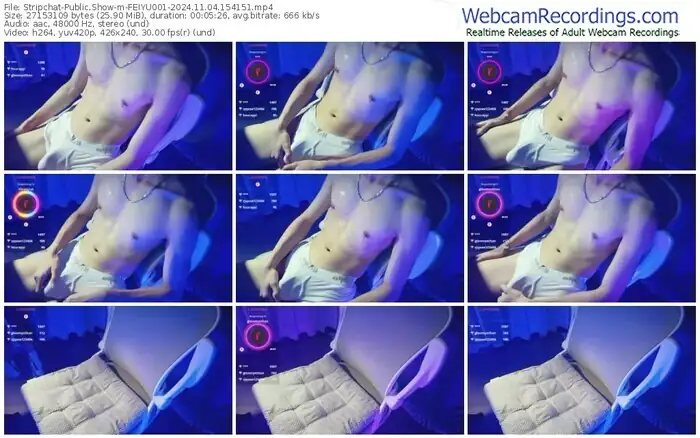 stripchat-feiyu001-11-04-2024-15-41-51