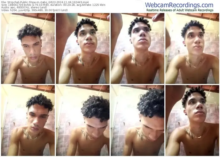 stripchat-gabo_gr22-11-04-2024-19-24-43