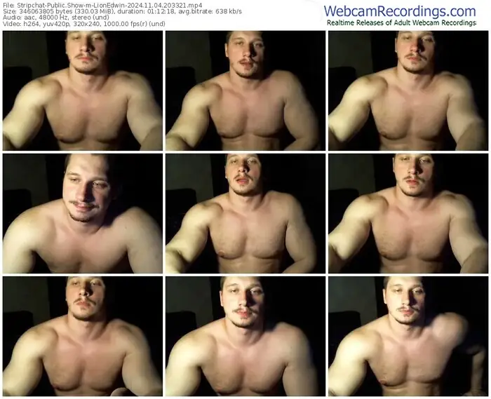 stripchat-lionedwin-11-04-2024-20-33-21