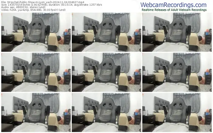 stripchat-lyon_vach-11-04-2024-00-46-27