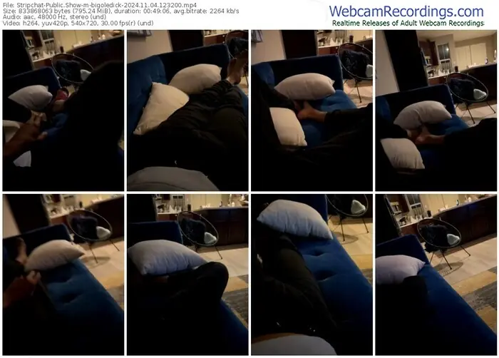 stripchat-bigoledick-11-04-2024-12-32-00