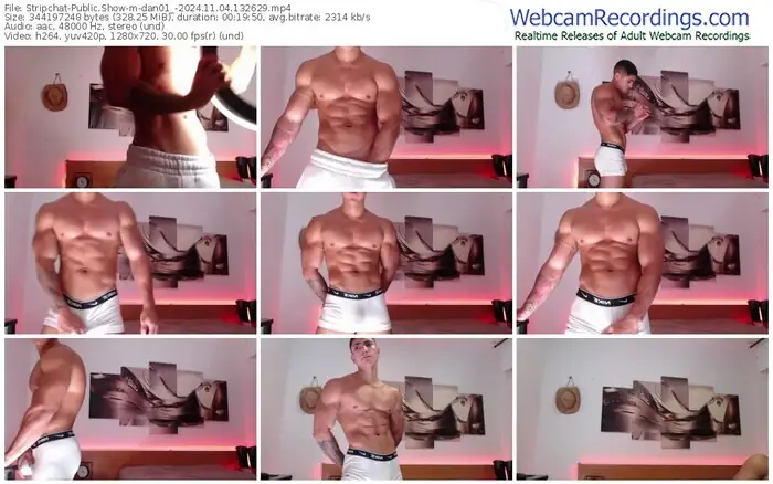 stripchat-dan01_-11-04-2024-13-26-29