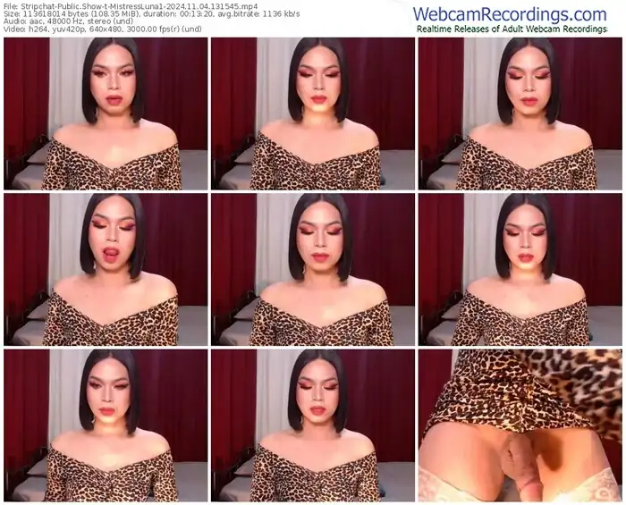 stripchat-mistressluna1-11-04-2024-13-15-45
