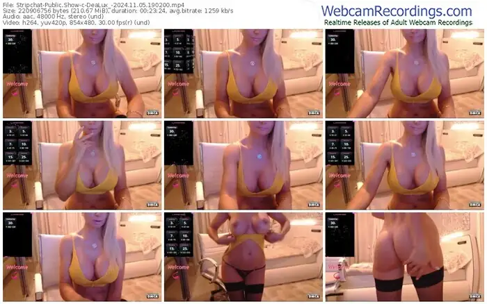 stripchat-dealux_-11-05-2024-19-02-00