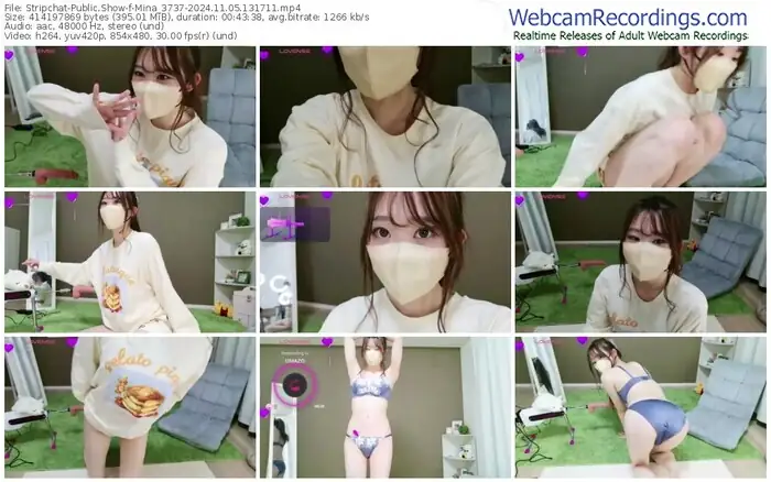 stripchat-mina_3737-11-05-2024-13-17-11