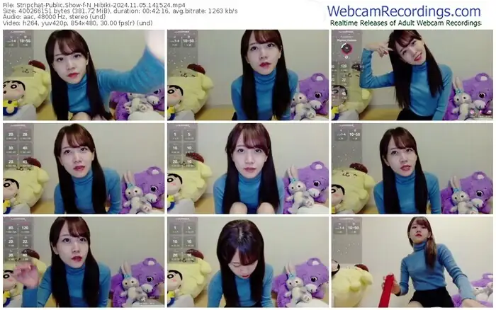 stripchat-n_hibiki-11-05-2024-14-15-24