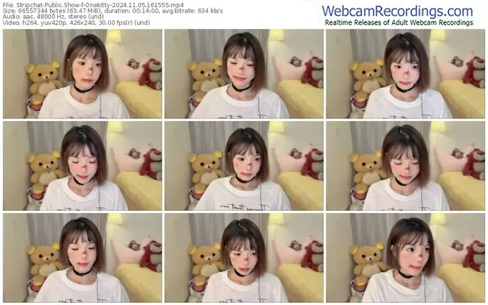 stripchat-onekitty-11-05-2024-16-15-55