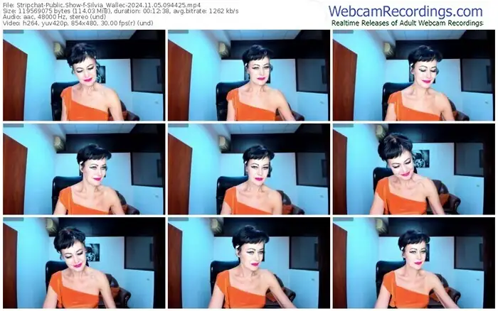 stripchat-silvia_wallec-11-05-2024-09-44-25