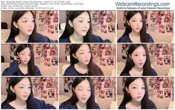 stripchat-smallmeow_-11-05-2024-11-09-41