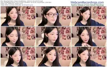 stripchat-smallmeow_-11-05-2024-12-31-43