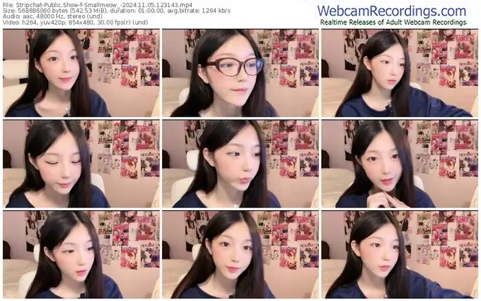stripchat-smallmeow_-11-05-2024-12-31-43