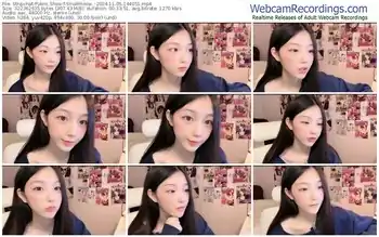 stripchat-smallmeow_-11-05-2024-14-40-51