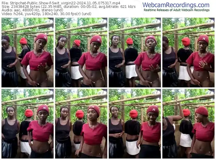 stripchat-swit_virgin22-11-05-2024-07-53-17