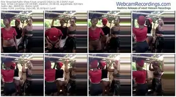 stripchat-swit_virgin22-11-05-2024-13-30-57