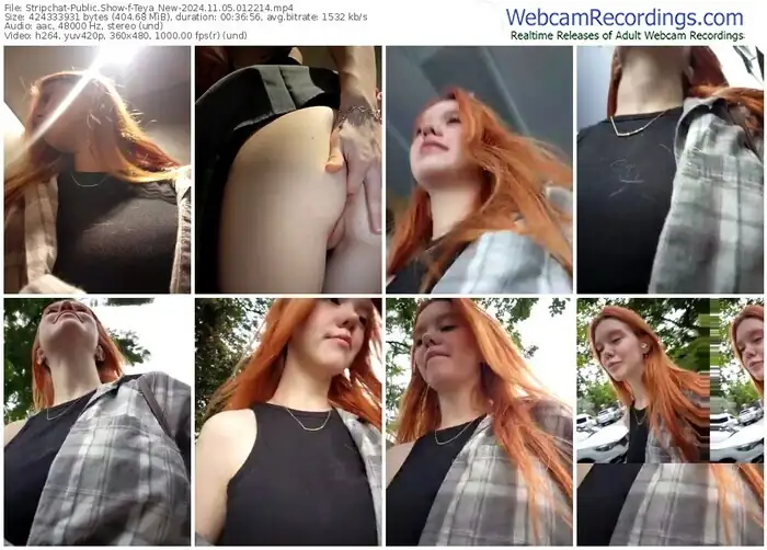 stripchat-teya_new-11-05-2024-01-22-14