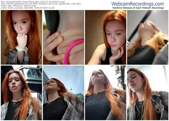 stripchat-teya_new-11-05-2024-02-40-12