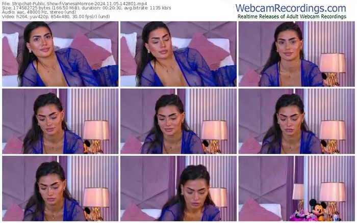 stripchat-vanesamonroe-11-05-2024-14-28-01
