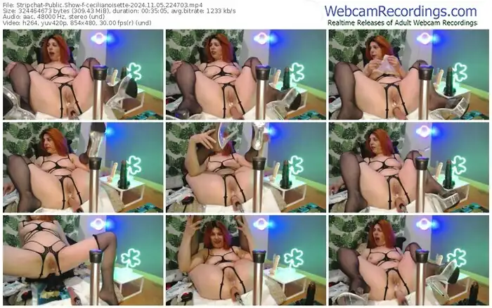 stripchat-cecilianoisette-11-05-2024-22-47-03