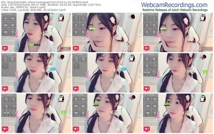 stripchat-mengyao1314-11-05-2024-06-38-33