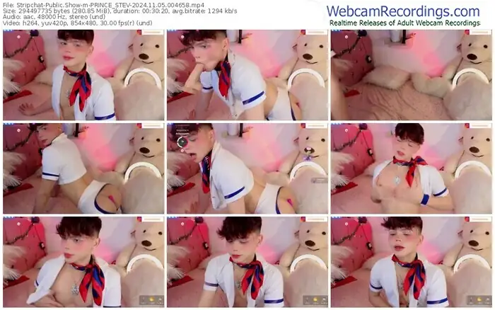 stripchat-prince_stev-11-05-2024-00-46-58