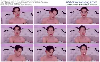 stripchat-robbycharming-11-05-2024-11-12-03