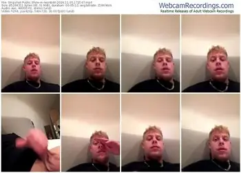 stripchat-leonb44-11-05-2024-17-21-47