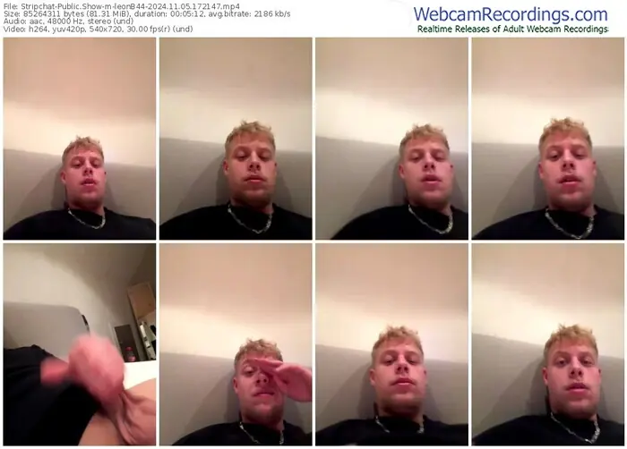 stripchat-leonb44-11-05-2024-17-21-47