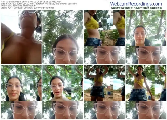 stripchat-ary-18-11-06-2024-19-38-51