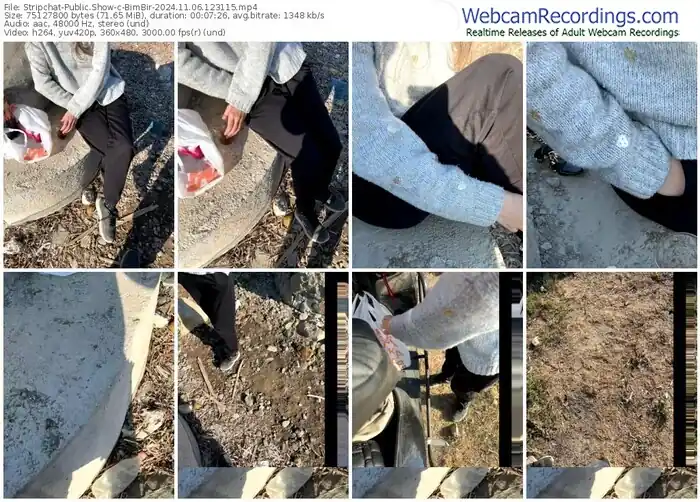 stripchat-bimbir-11-06-2024-12-31-15