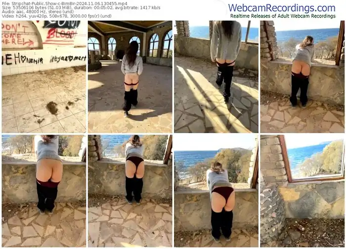 stripchat-bimbir-11-06-2024-13-04-55