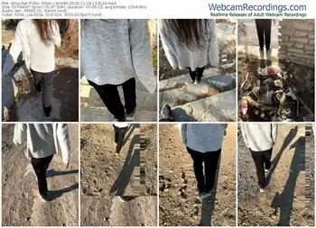 stripchat-bimbir-11-06-2024-13-25-24