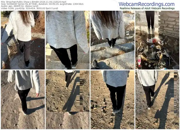 stripchat-bimbir-11-06-2024-13-25-24