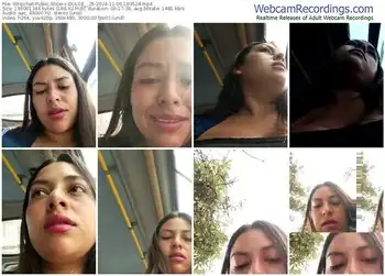 stripchat-dulce__26-11-06-2024-19-35-24