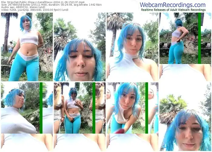 stripchat-gerallfoxxx-11-06-2024-15-21-37