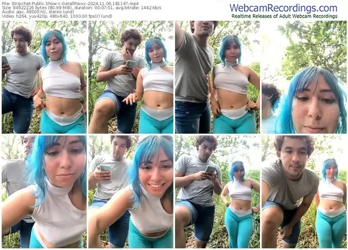 stripchat-gerallfoxxx-11-06-2024-18-11-47