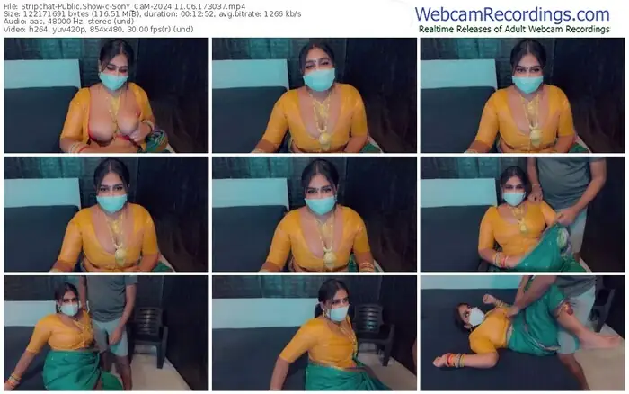 stripchat-sony_cam-11-06-2024-17-30-37