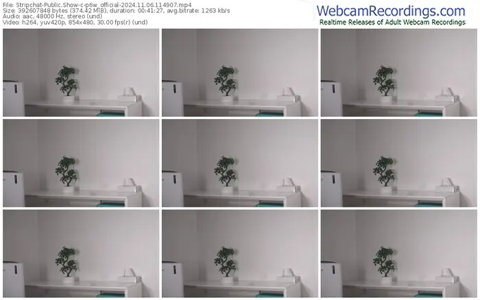 stripchat-p6w_official-11-06-2024-11-49-07