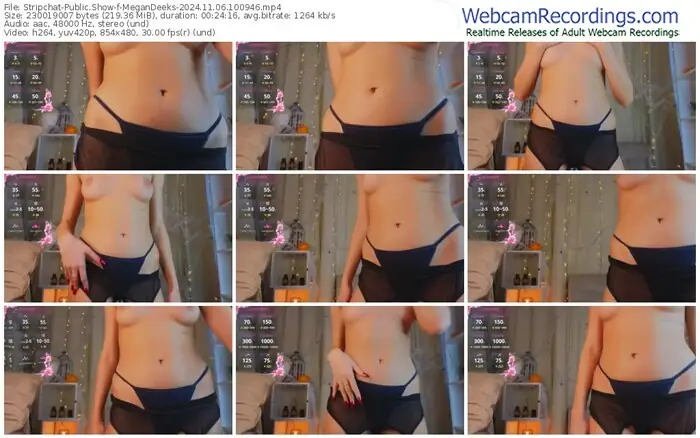 stripchat-megandeeks-11-06-2024-10-09-46