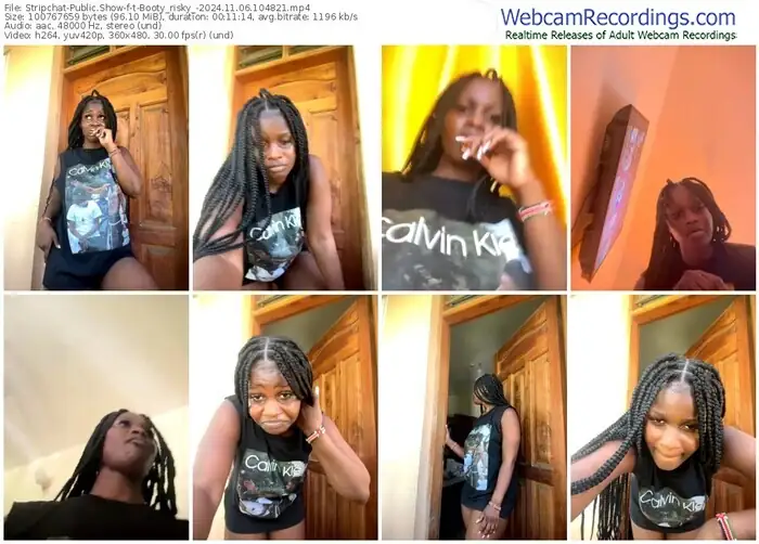 stripchat-t-booty_risky_-11-06-2024-10-48-21