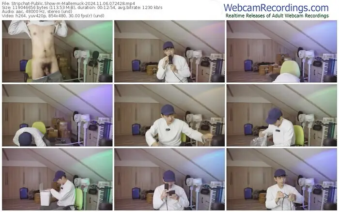 stripchat-mallemuck-11-06-2024-07-24-28