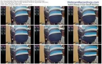 stripchat-misteryman1956-11-06-2024-11-16-03