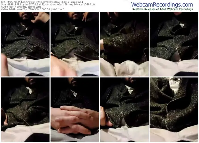 stripchat-vasin12788bv-11-06-2024-21-46-26