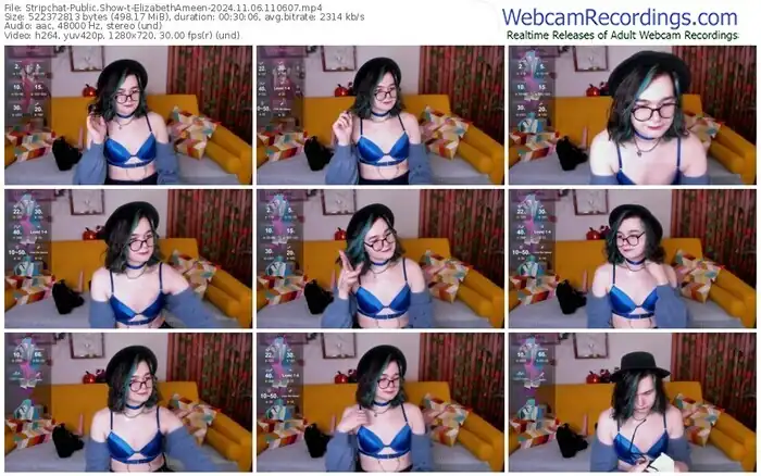 stripchat-elizabethameen-11-06-2024-11-06-07