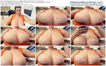 stripchat-claraandterry-11-07-2024-11-14-26