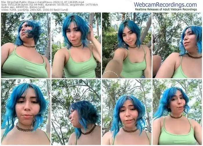 stripchat-gerallfoxxx-11-07-2024-18-18-35