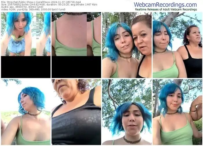 stripchat-gerallfoxxx-11-07-2024-18-57-30