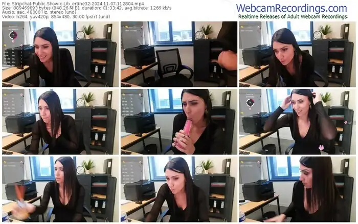 stripchat-lib_ertine32-11-07-2024-11-28-04