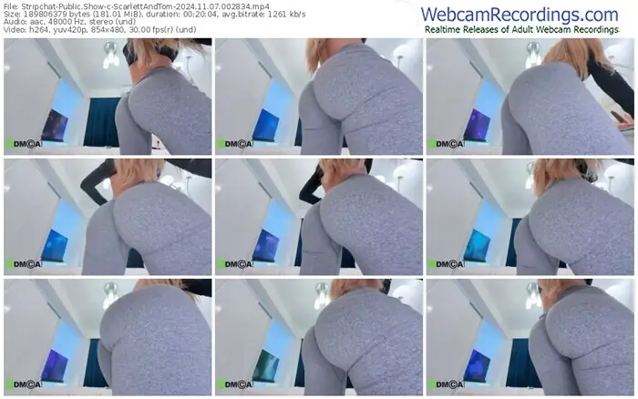 stripchat-scarlettandtom-11-07-2024-00-28-34